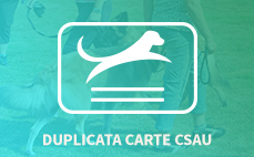 DUPLICATA CSAU